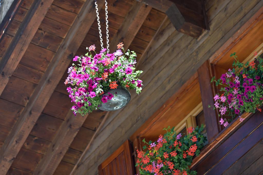 Hotel Les Melezes Hauderes Bagian luar foto