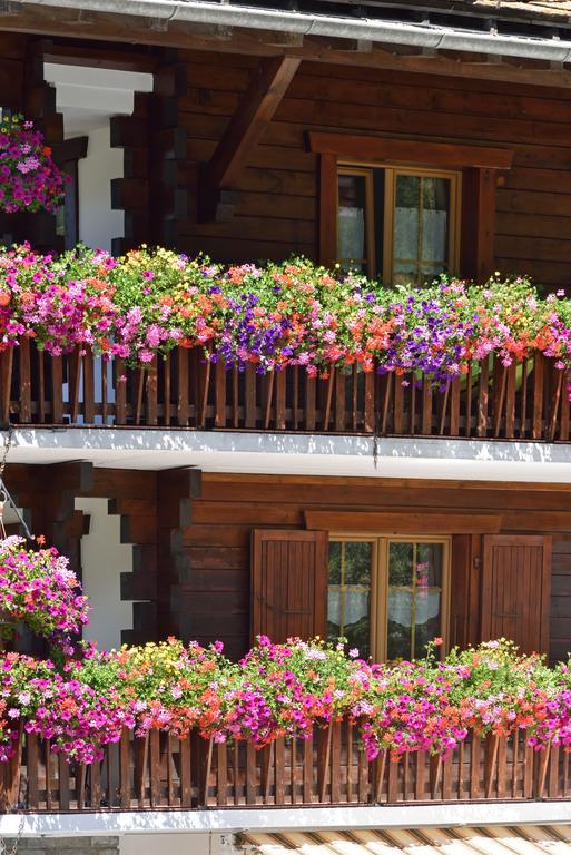 Hotel Les Melezes Hauderes Bagian luar foto